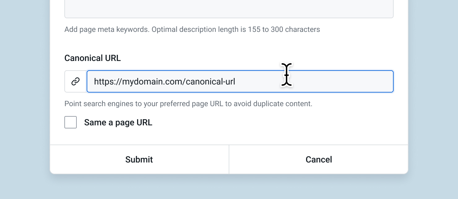 SEO Canonical URL.jpg